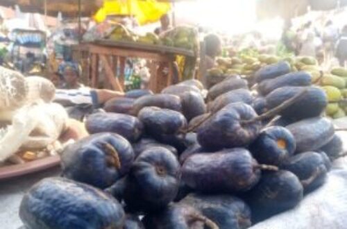 Article : Cameroun : les prunes, ces délicieux fruits stars de vacances